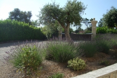 VILLA VERDI ENTREE